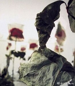 《死愛第一卷》