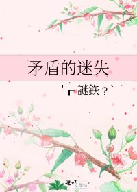 矛盾的迷失