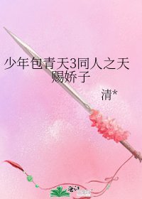 《少年包青天3同人之天賜嬌子》