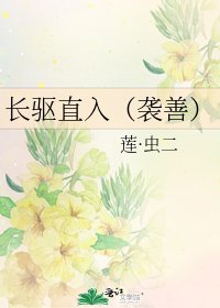 《長驅直入(襲善)》
