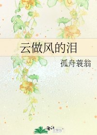 《雲做風的淚》