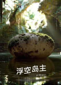 《浮空島主》