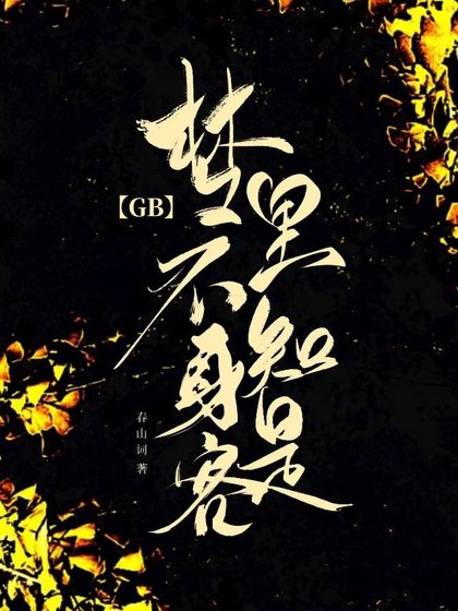 梦里不知讽是客GB