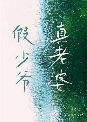 假少爷,真老婆